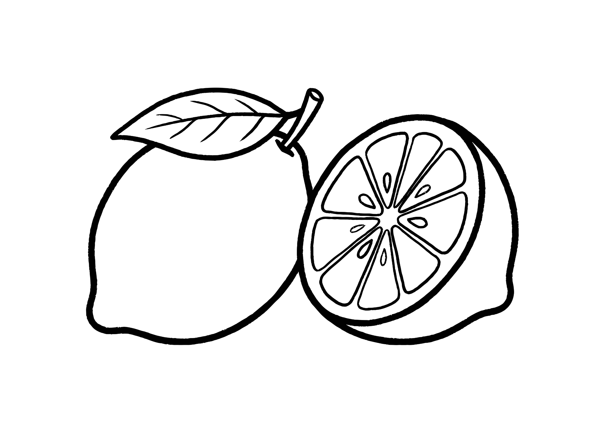 レモン（輪切りつき）の塗り絵（白黒）｜無料 ダウンロード 塗り絵 白黒 イラスト フリー画像 素材