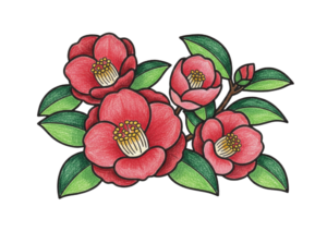 椿のぬりえとイラスト｜無料ダウンロードできる高齢者向け塗り絵の白黒フリー画像素材