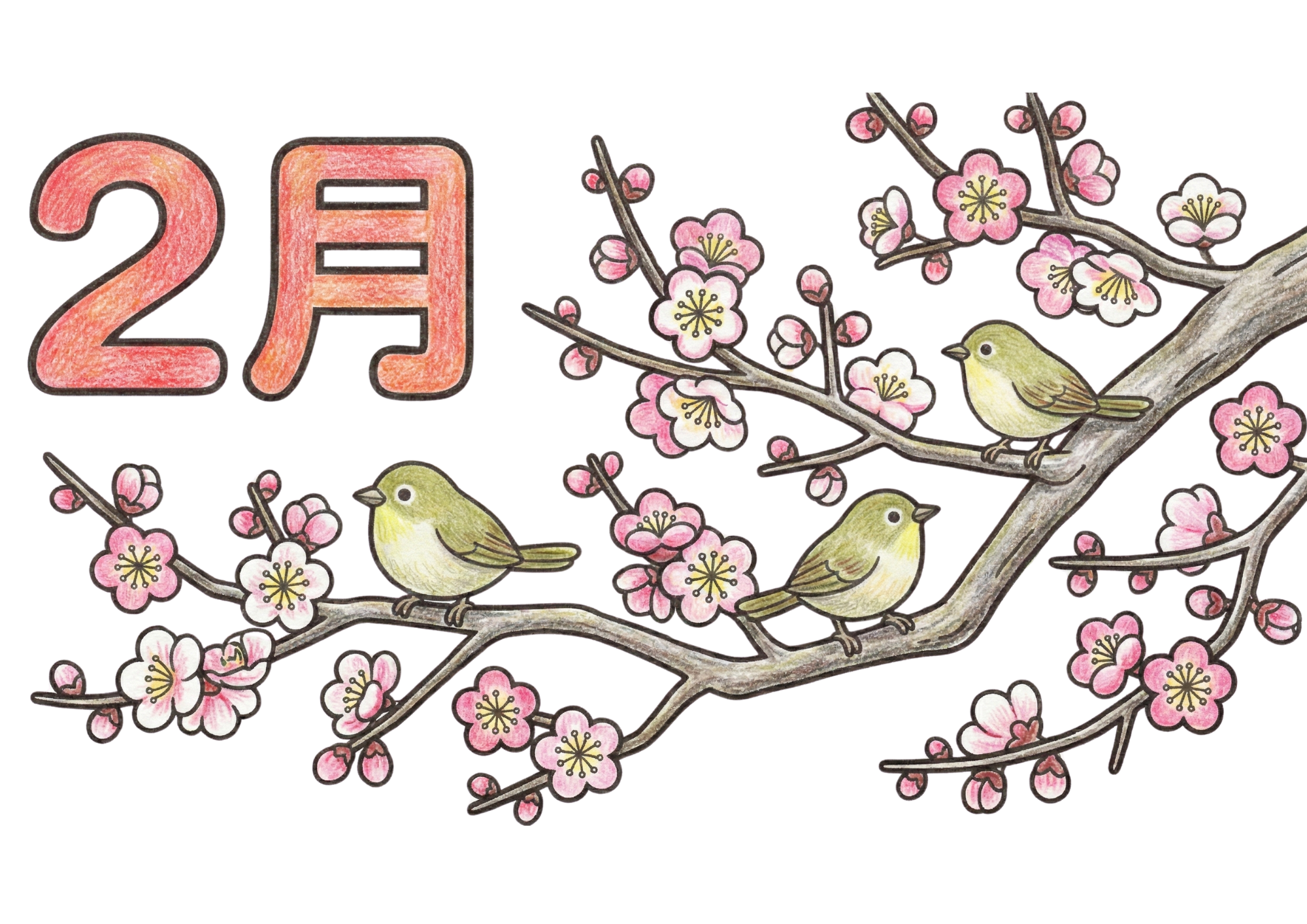 梅の花とウグイスの塗り絵｜2月の白黒フリー画像｜高齢者向け｜無料素材