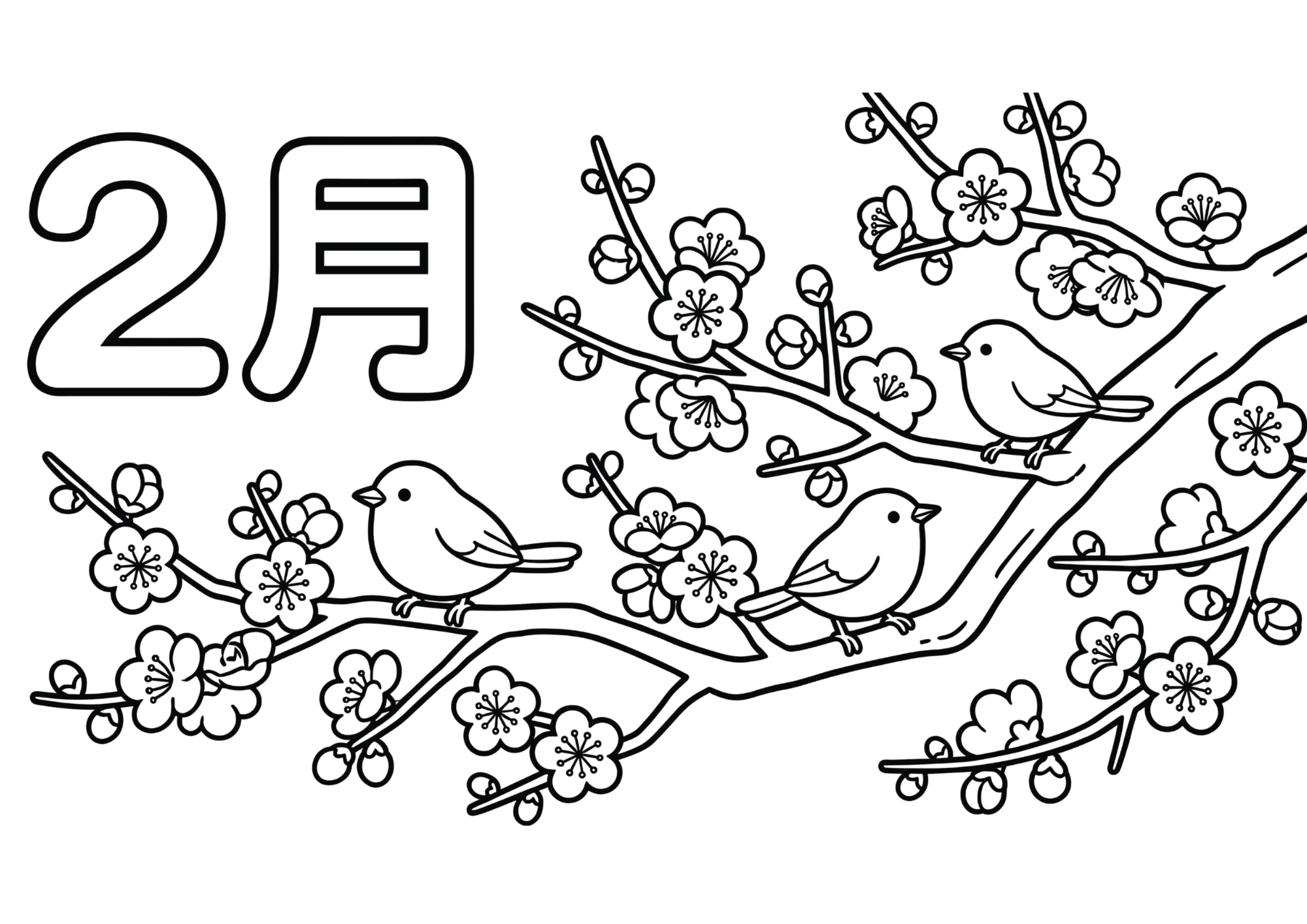 梅の花とウグイスの塗り絵｜2月の白黒フリー画像｜高齢者向け｜無料素材