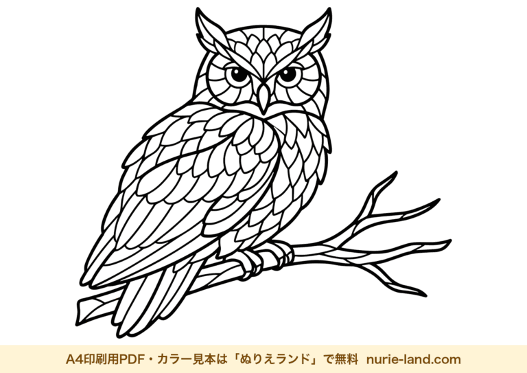 Owl zentangle coloring page - black and white, free download, printable