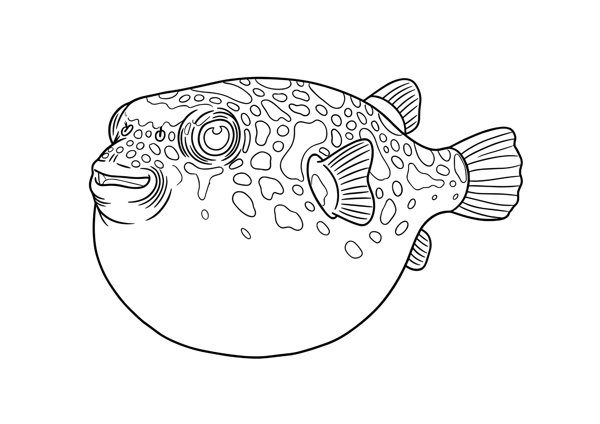 フグの塗り絵白黒イラスト無料ダウンロード用画像・フリー画像素材（太線・シンプル構図）