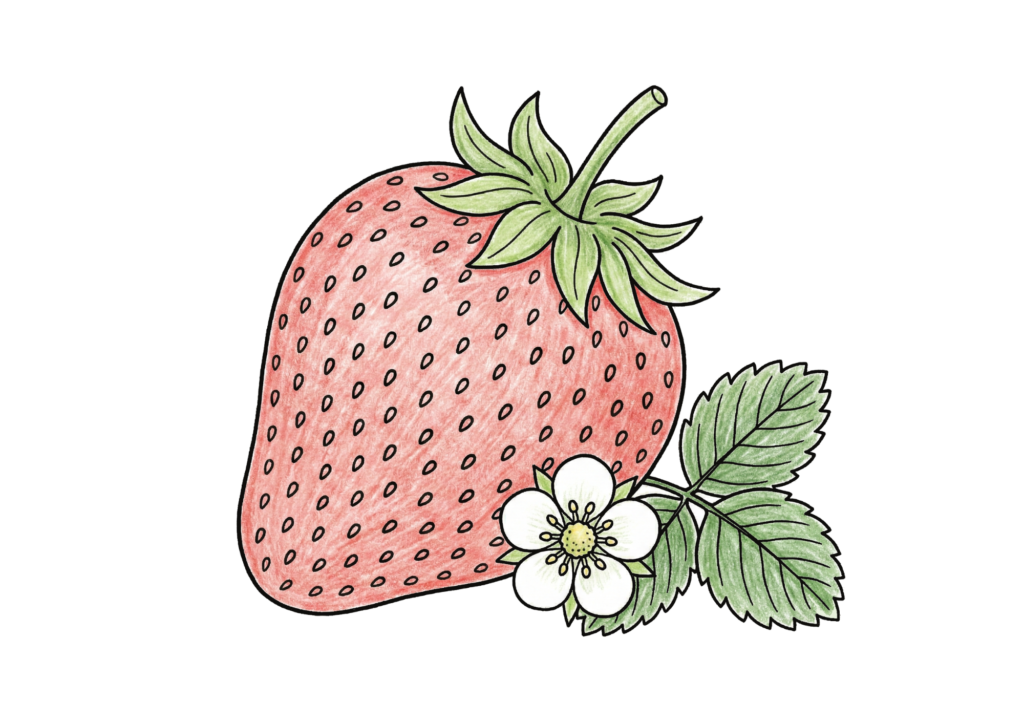 いちごの無料塗り絵イラスト素材｜高齢者向けちぎり絵にも使えるフリー画像ダウンロード