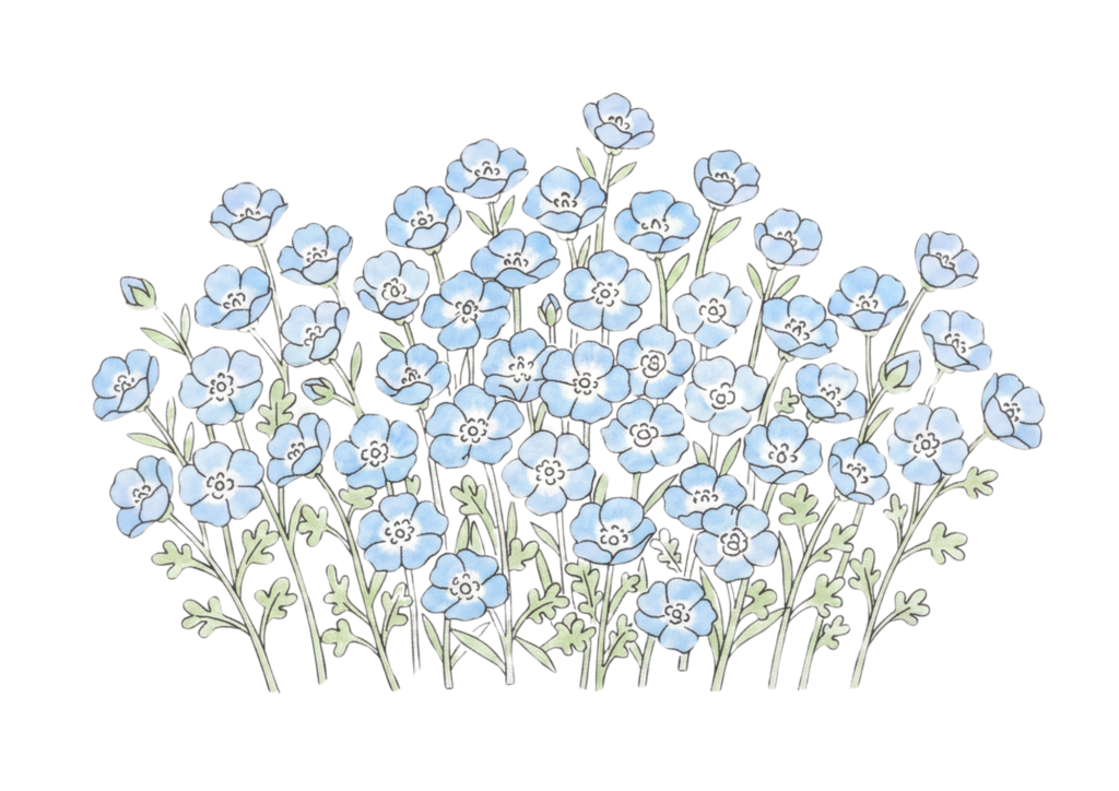 ネモフィラの塗り絵イラスト無料ダウンロード用フリー画像素材
