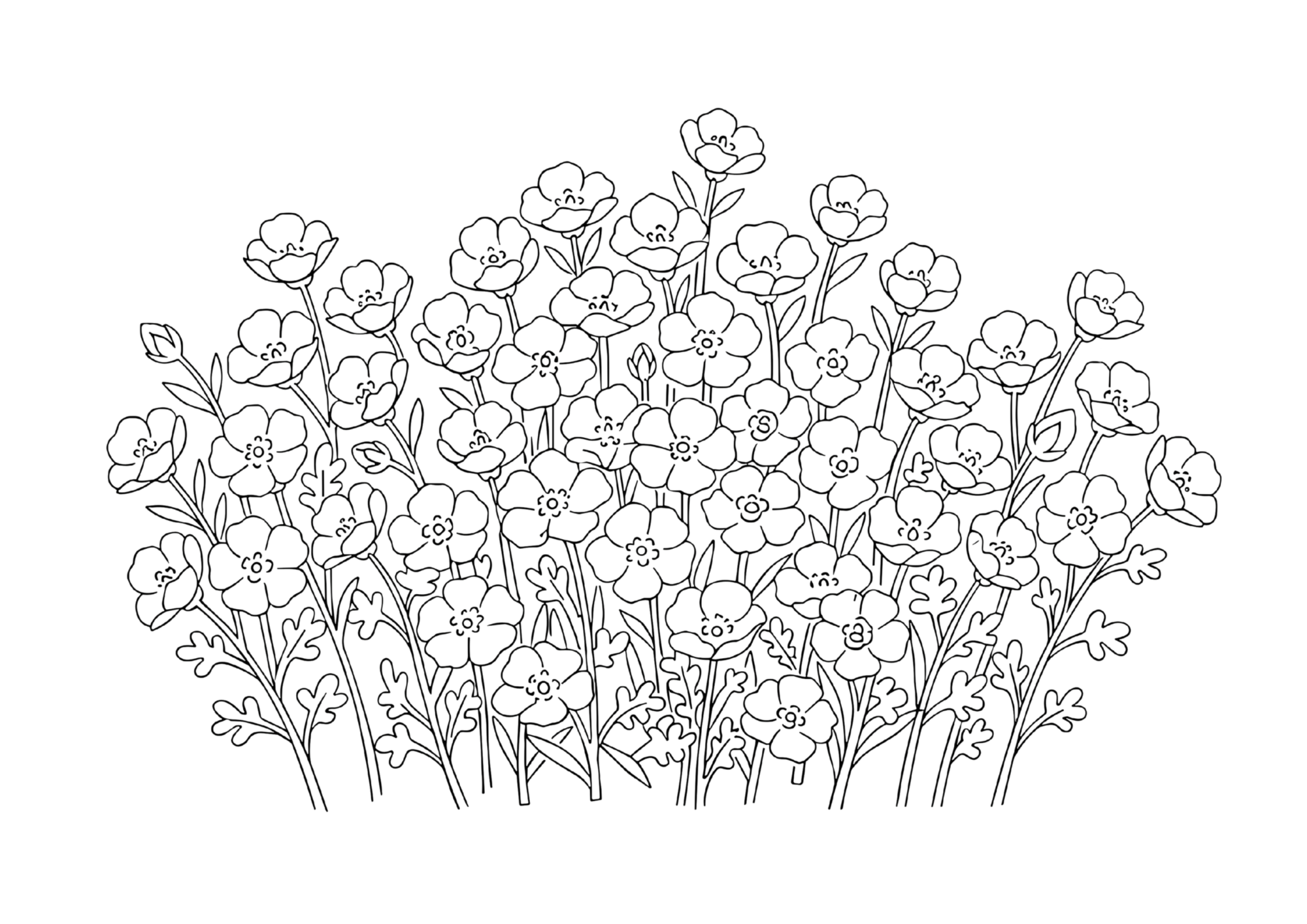 ネモフィラの塗り絵画像無料ダウンロード白黒イラストフリー画像素材（白背景・黒線・太線）