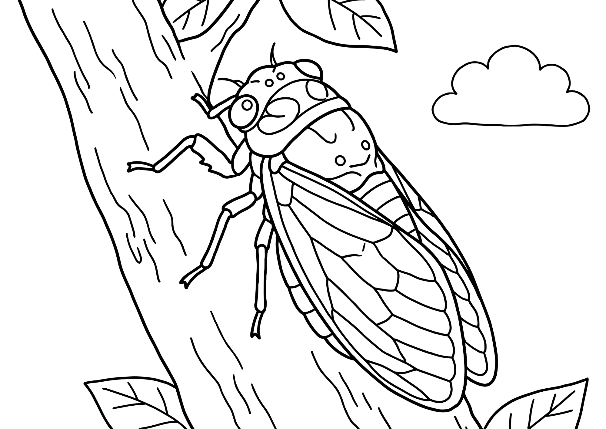 油蝉（アブラゼミ）が木の幹に止まっている塗り絵 白黒線画