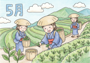 茶摘みの塗り絵イラスト カラー見本 八十八夜 茶畑 菅笠の女性 5月