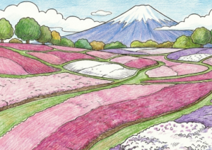 富士山と芝桜の無料塗り絵イラスト素材｜高齢者・大人向け春の風景フリー画像