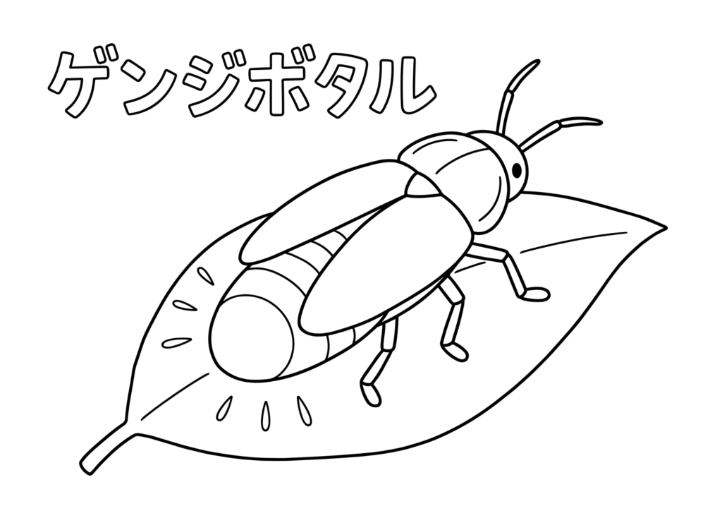 源氏蛍(ゲンジボタル)が葉の上で光る塗り絵 白黒線画