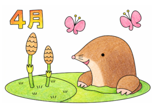 4月のモグラの塗り絵カラー見本、ツクシ（土筆）と蝶の春イラスト高齢者向け無料素材
