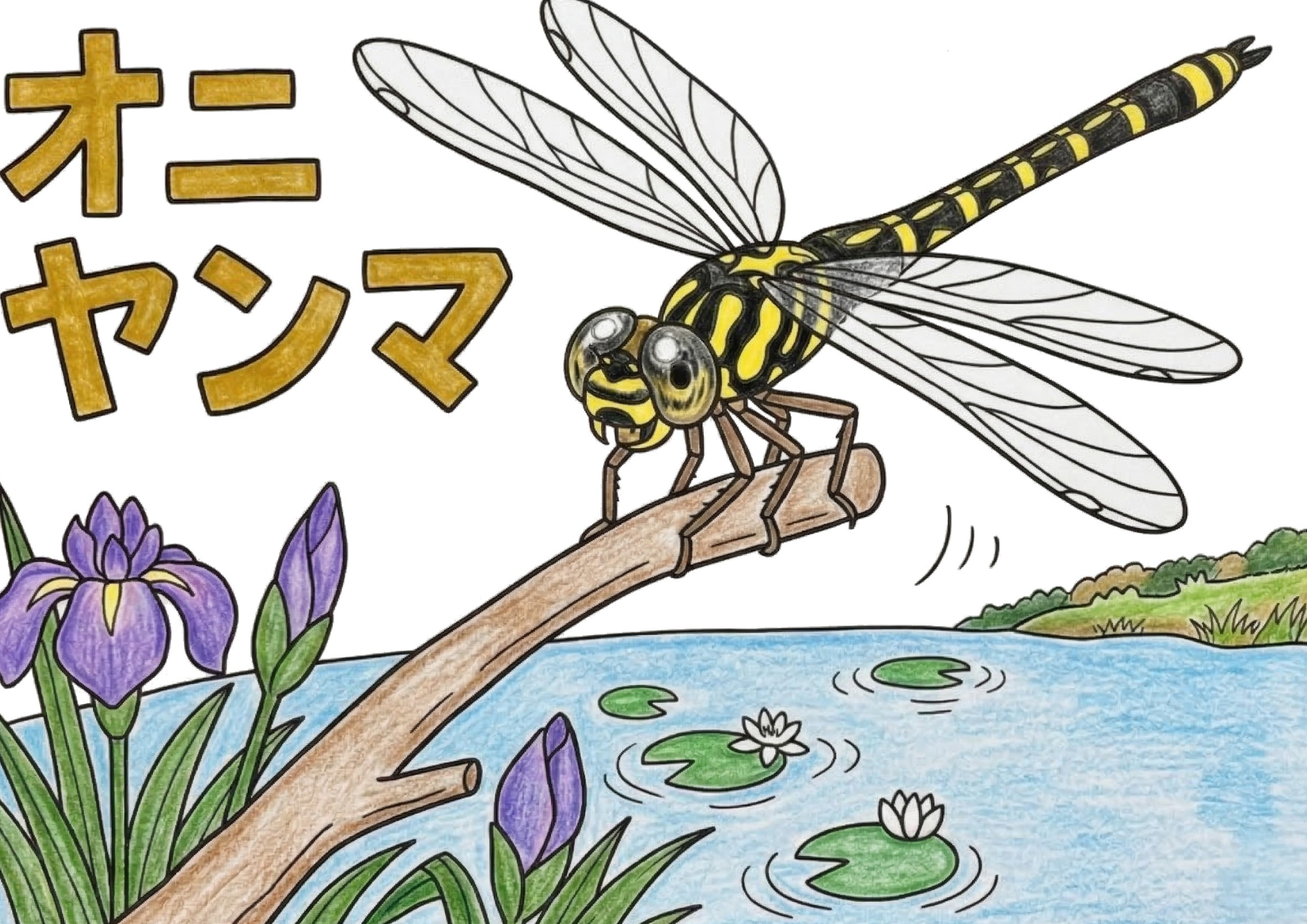 オニヤンマの塗り絵イラスト カラー見本｜水辺の風景 無料ダウンロード