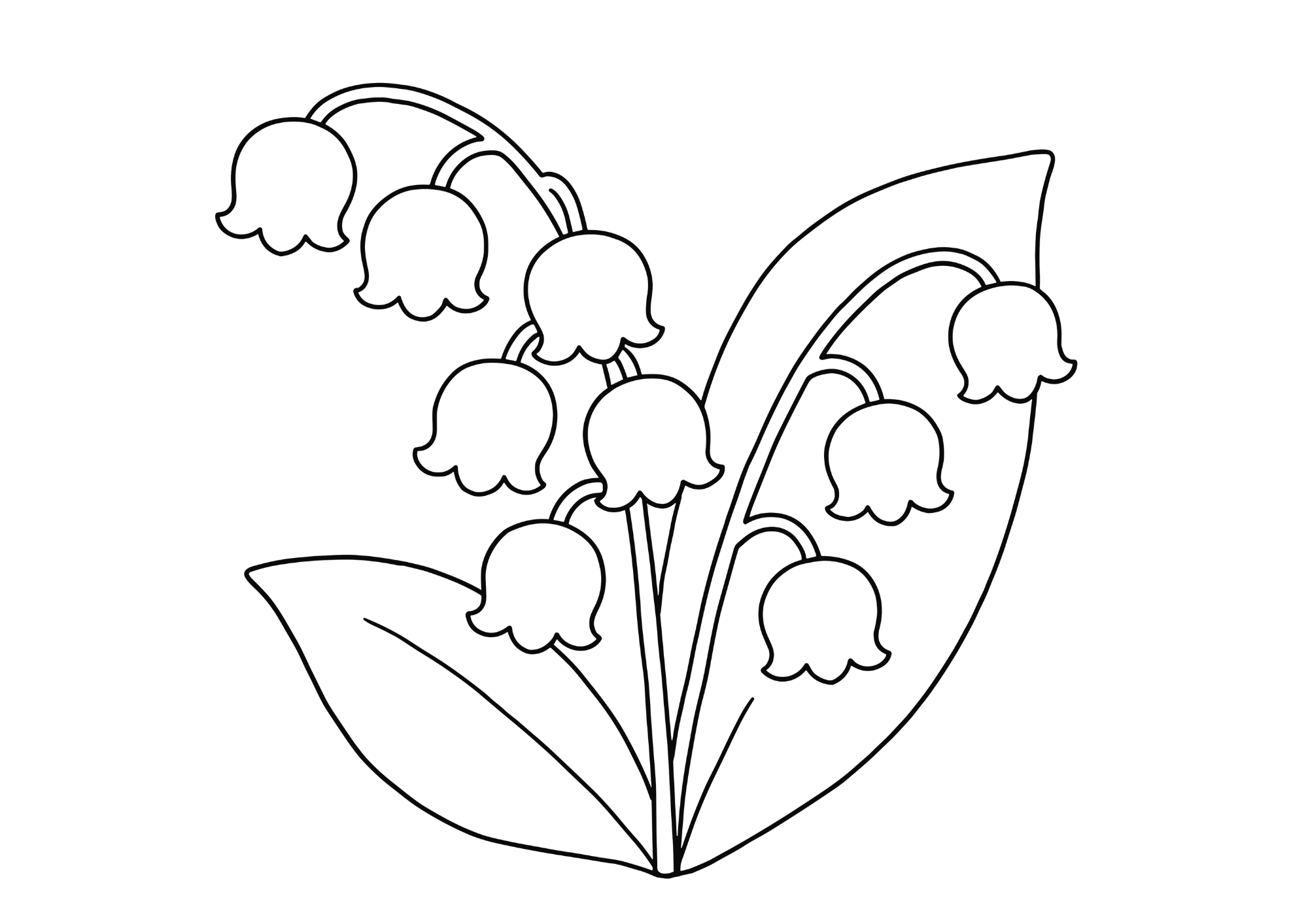 スズランの塗り絵イラスト 白黒 無料ダウンロード 印刷用