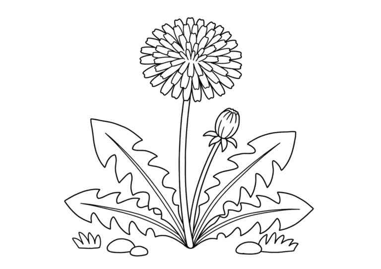 Dandelion coloring page - black and white printable
