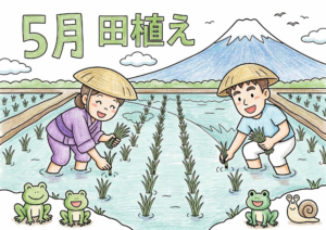 田植えの塗り絵イラスト カラー見本 富士山 田んぼ カエル 5月