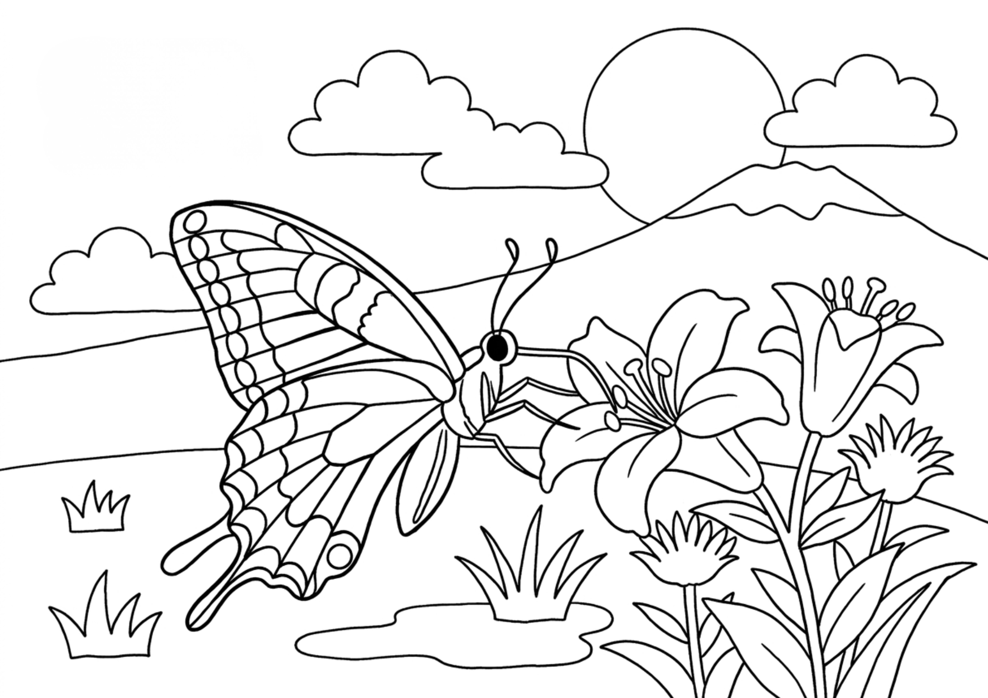 月夜のアゲハ蝶の塗り絵 白黒印刷用 高齢者向け