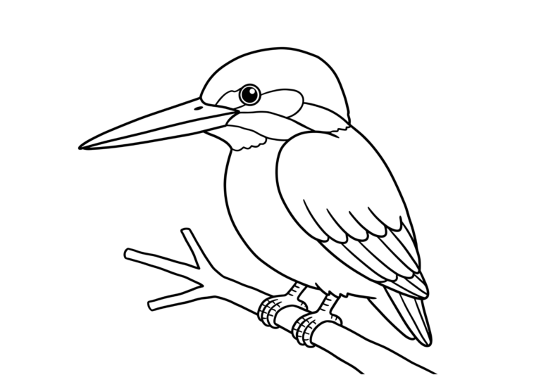 Kingfisher coloring page - black and white printable