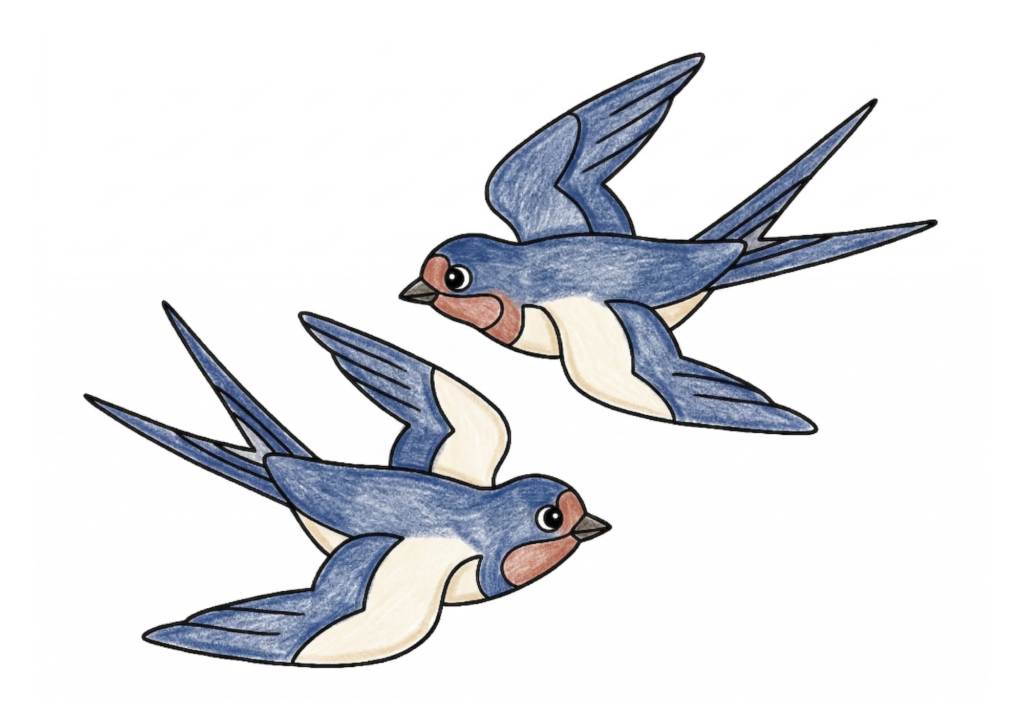 ツバメの塗り絵 カラー見本