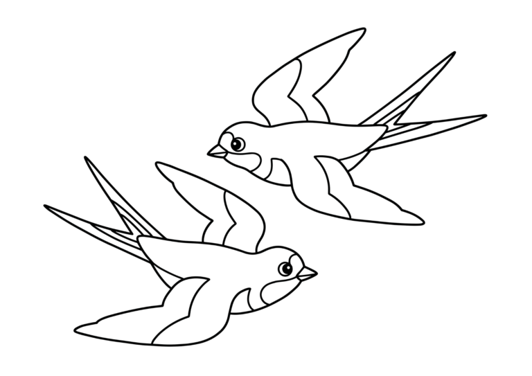 Swallow coloring page - black and white printable
