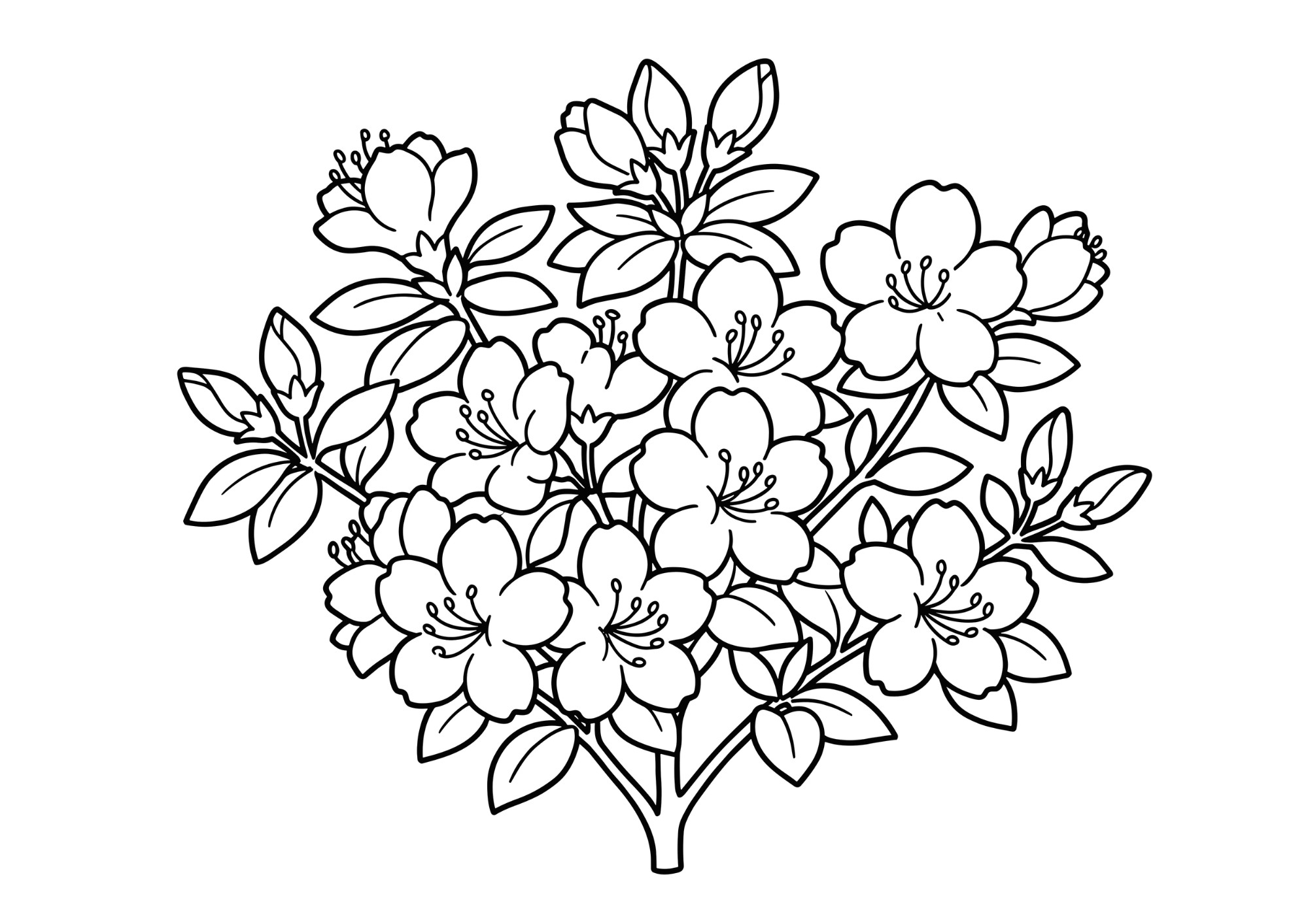 ツツジ（躑躅）の塗り絵 白黒 線画 無料ダウンロード 印刷用 大人・高齢者向け