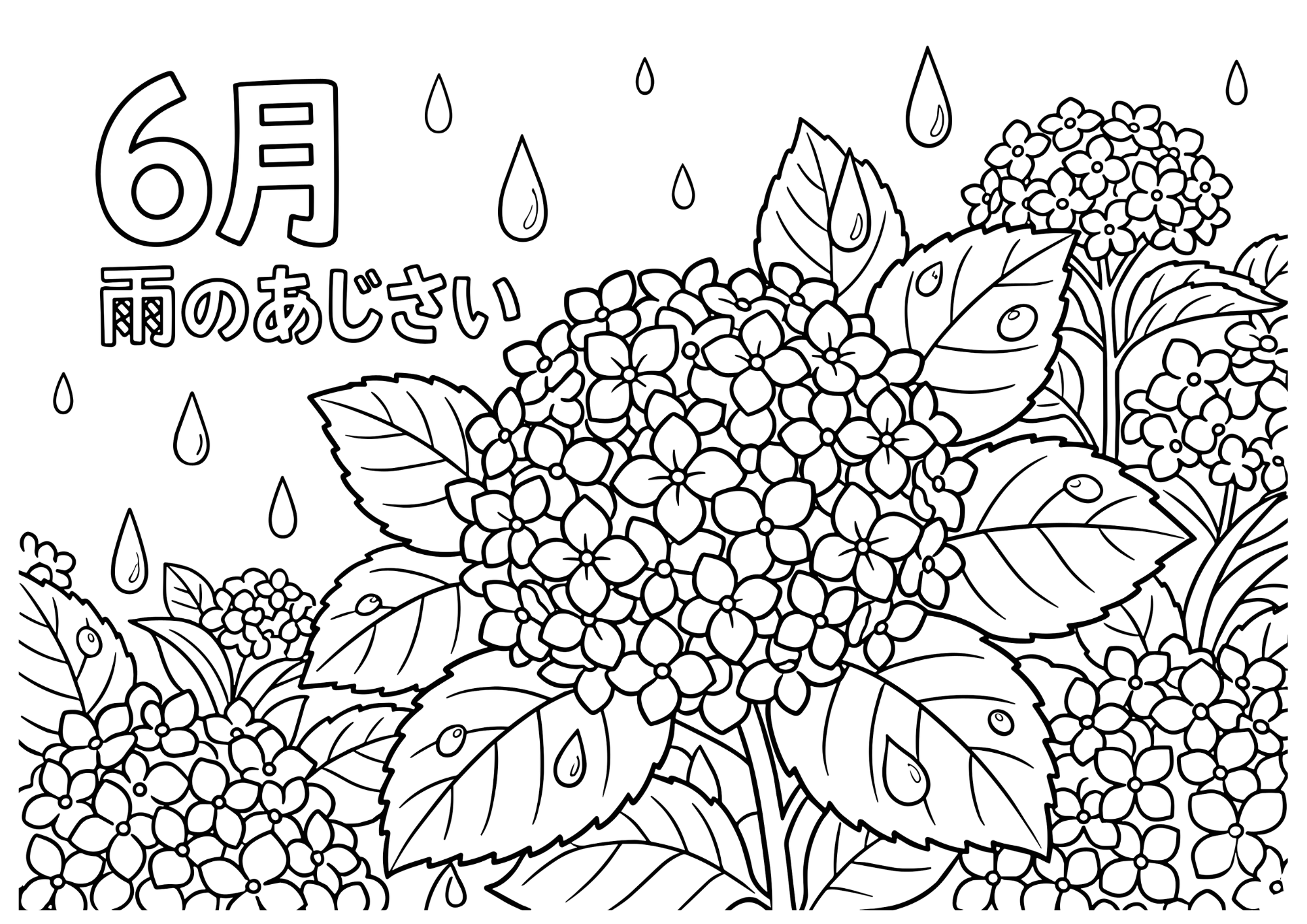 雨の紫陽花(あじさい)の塗り絵 白黒 印刷用
