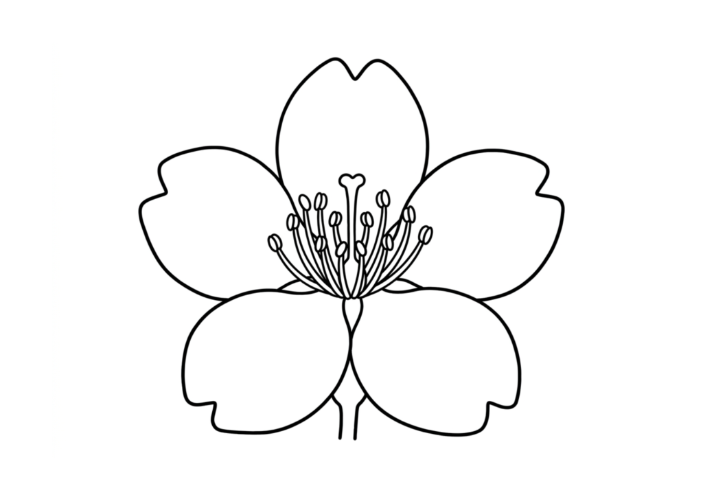 サクラの花の塗り絵 白黒 無料印刷用
