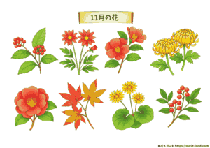 11月の花 塗り絵（高齢者向け）｜秋を感じる素材を無料ダウンロード