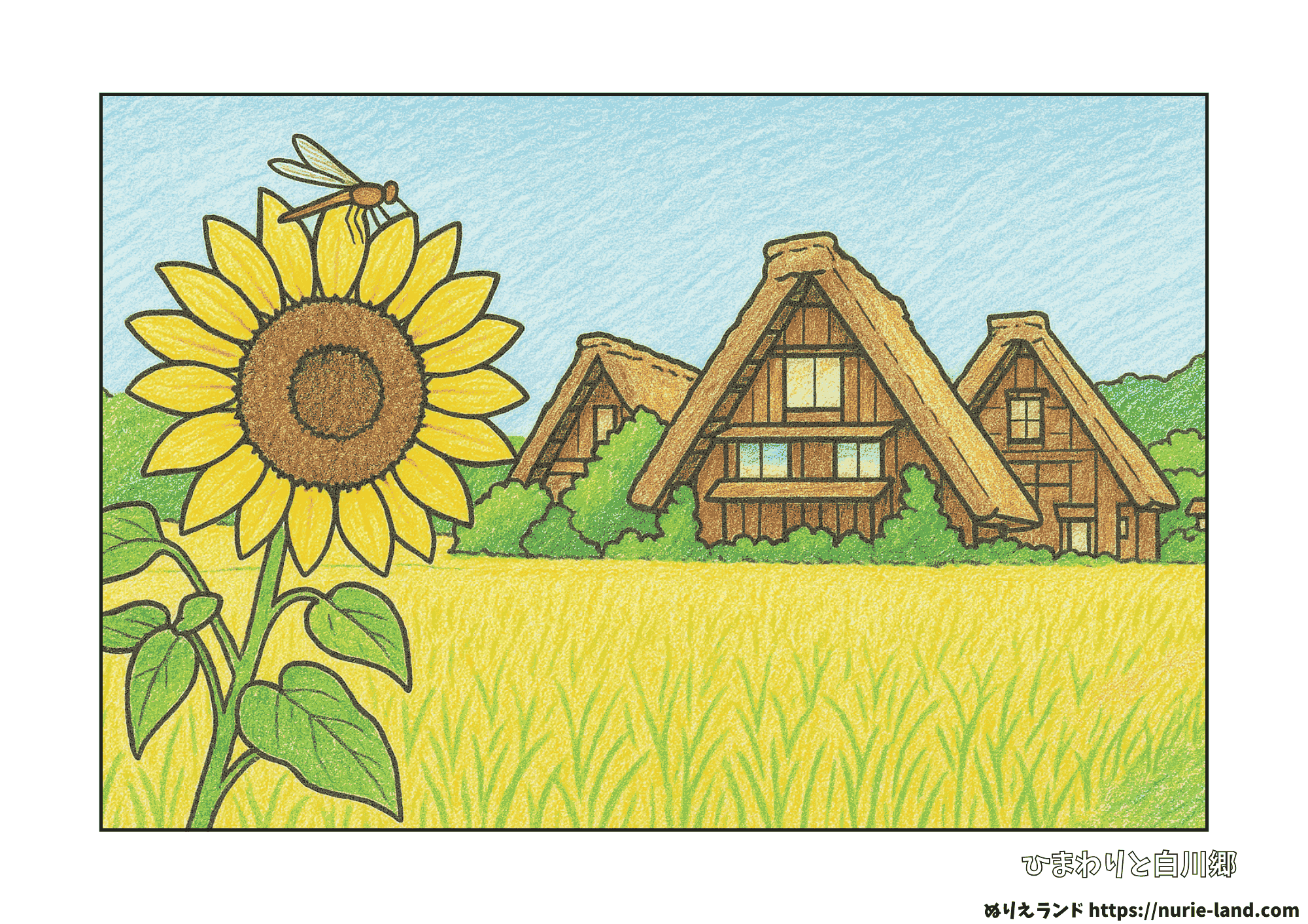 高齢者向け無料ぬりえ|7月・8月の花と風景|白川郷と向日葵