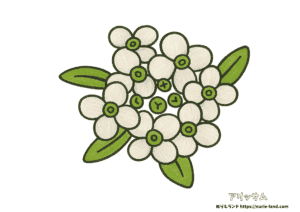 スイートアリッサムの塗り絵｜秋の小花をやさしく彩ろう｜高齢者向け見本付き無料ダウンロード