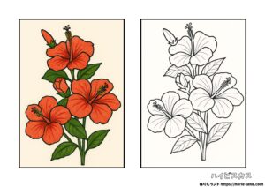 ハイビスカスの塗り絵イラスト カラー見本（無料・印刷OK）