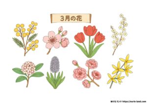 3月の花の塗り絵イラスト カラー見本（無料・印刷OK）
