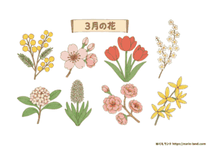 3月の花 塗り絵｜高齢者向け冬〜春の無料プリント素材【ダウンロードOK】
