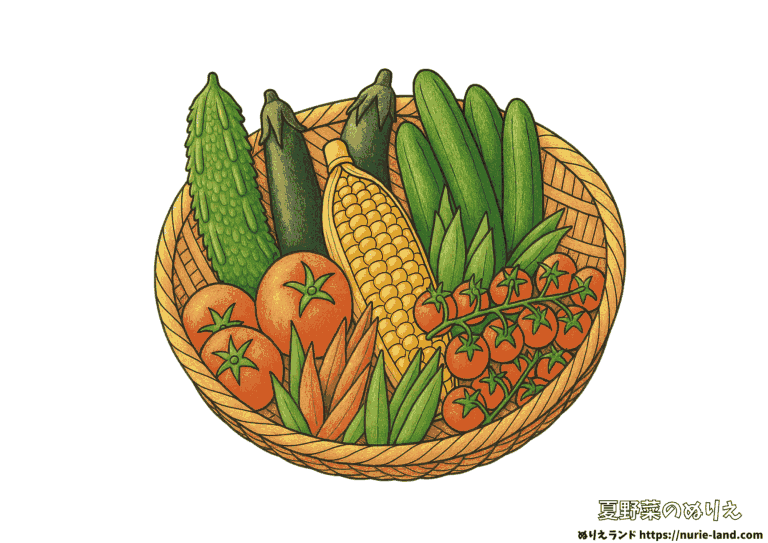 7月・8月にぴったりの夏野菜ぬりえ見本付の塗り絵イラスト