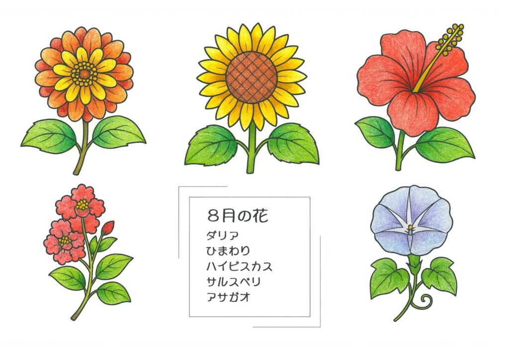8月の花の塗り絵イラスト カラー見本（無料・印刷OK）