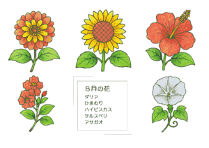 8月の花のぬりえ｜ダリア・ひまわり・ハイビスカス・サルスベリ・アサガオを色鉛筆風に彩色｜高齢者向け無料ダウンロード素材