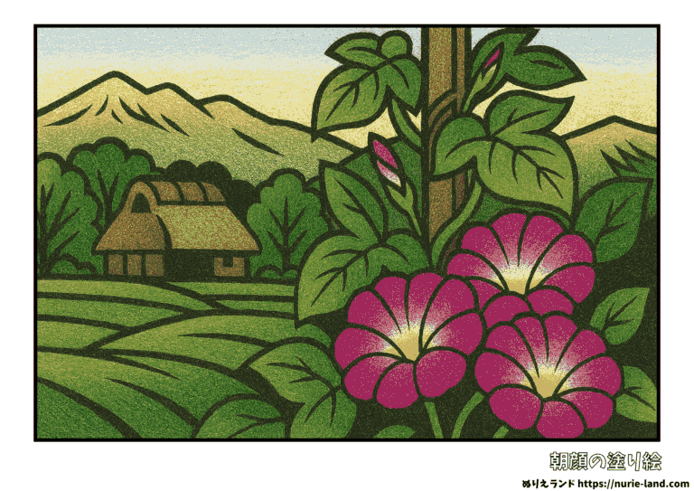 朝顔の塗り絵イラスト