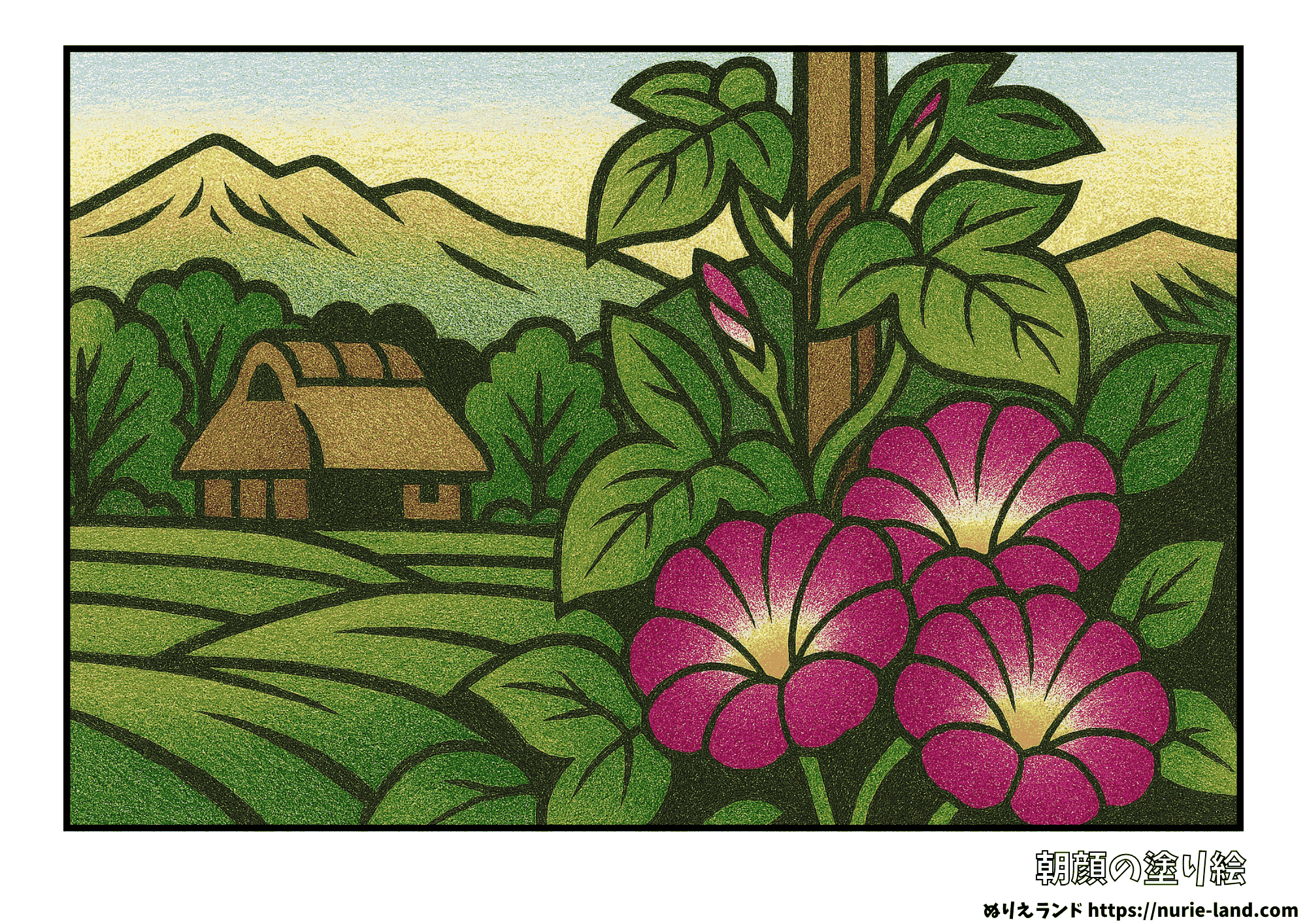 朝顔の塗り絵|7月・8月にぴったり田舎風景|高齢者向け無料ダウンロード