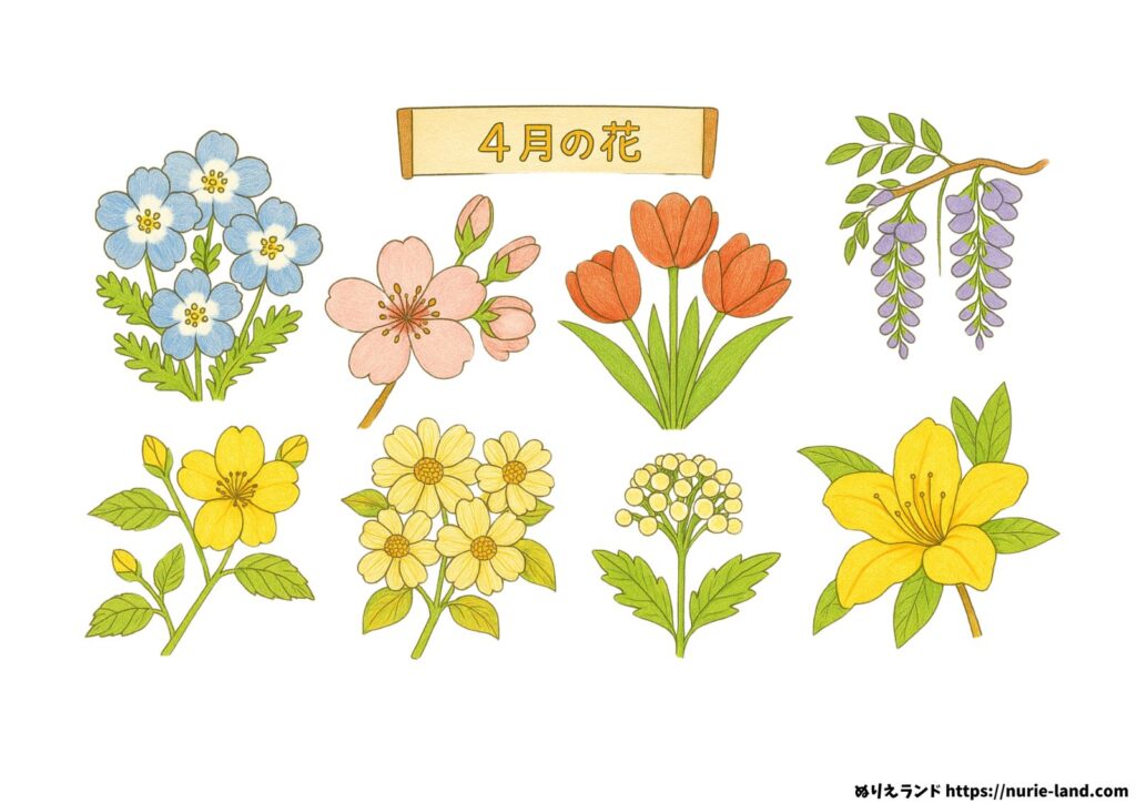 ４月の花 塗り絵プリントの塗り絵イラスト カラー見本（無料・印刷OK）
