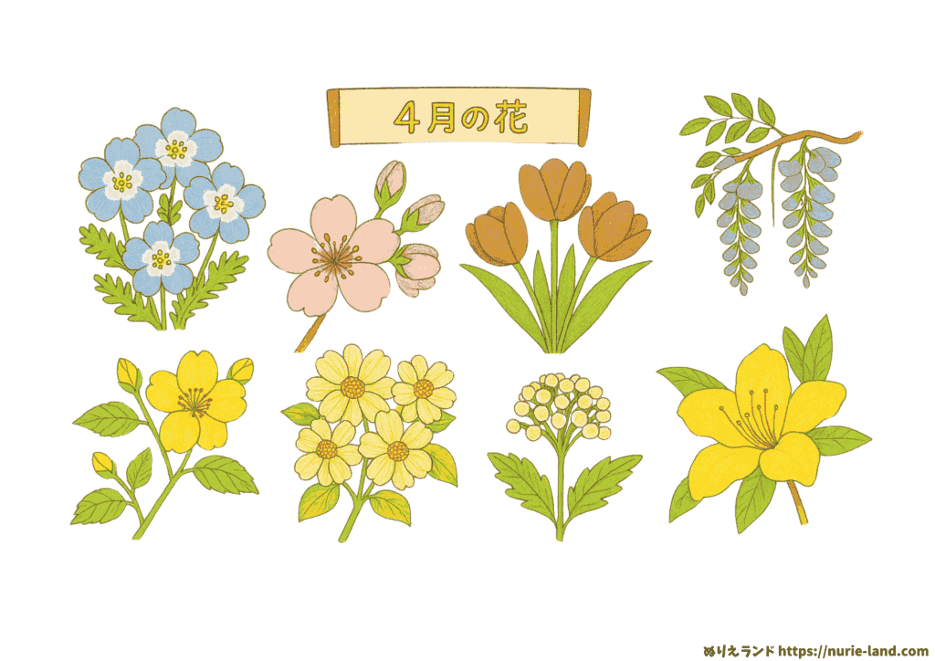 ４月の花 塗り絵プリント｜高齢者向け無料ダウンロード素材（見本付き）