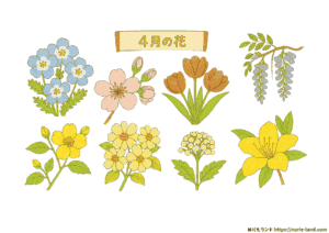 ４月の花 塗り絵プリント｜高齢者向け無料ダウンロード素材（見本付き）