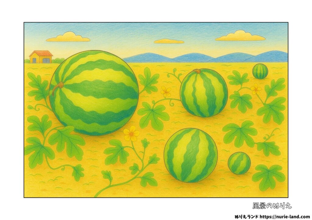 スイカ畑の風景の塗り絵イラスト カラー見本（無料・印刷OK）