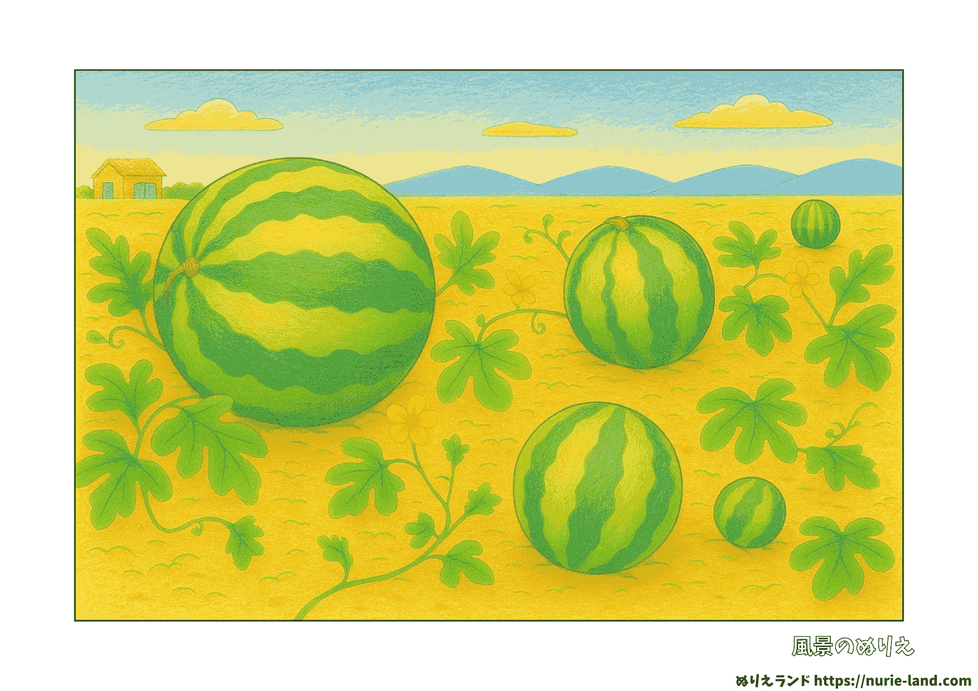 スイカ畑の風景塗り絵|高齢者向けリアル構図が無料ダウンロード&プリントOK