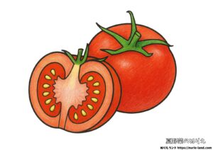 7月・8月におすすめ｜夏野菜トマトの塗り絵イラスト カラー見本（無料・印刷OK）