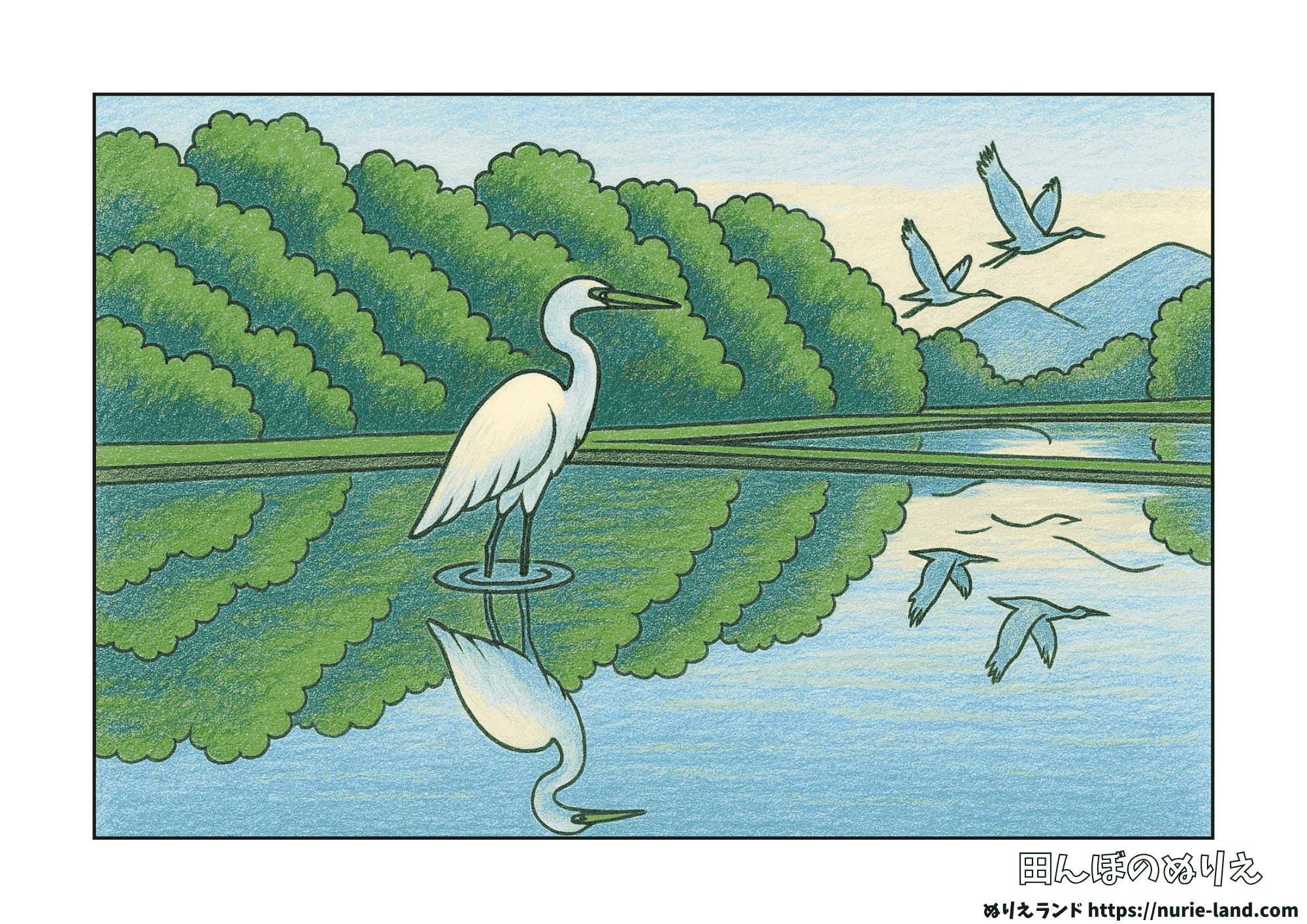初夏の5月・6月、水が張られた田んぼに立つ白鷺を描いた高齢者向けぬりえの線画イメージ。