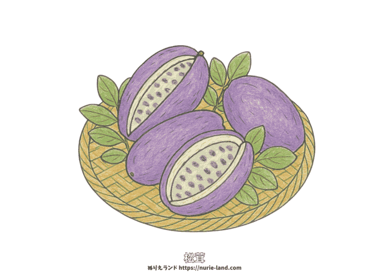アケビの塗り絵イラスト