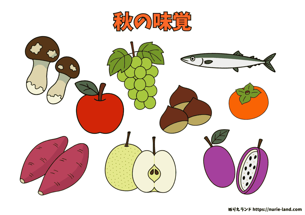 秋の味覚ぬりえ｜無料ダウンロード素材｜ぶどう・栗・さつまいもなど秋の果物と野菜を塗れる高齢者向けぬりえ