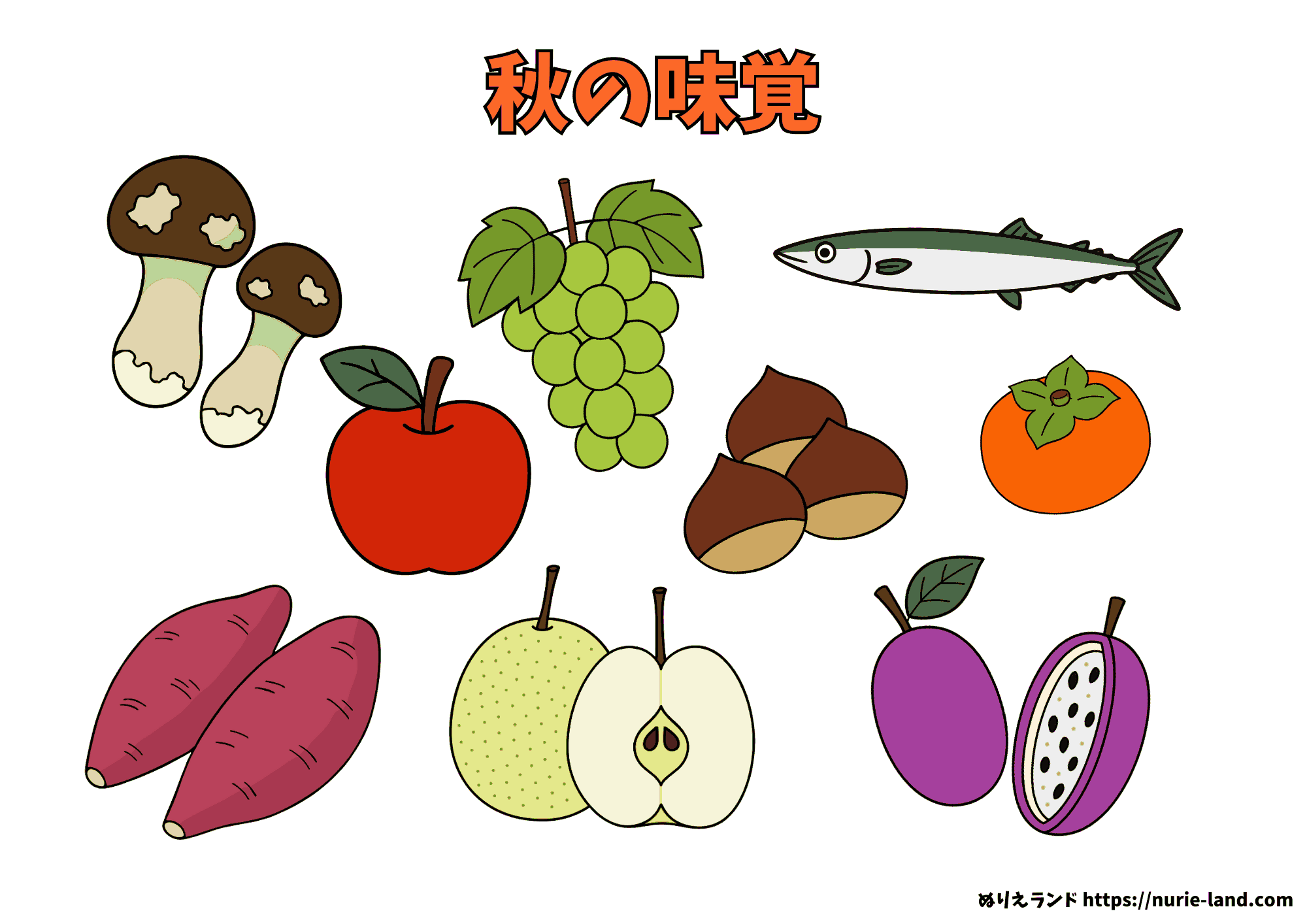 秋の味覚ぬりえ|無料ダウンロード素材|ぶどう・栗・さつまいもなど秋の果物と野菜を塗れる高齢者向けぬりえ