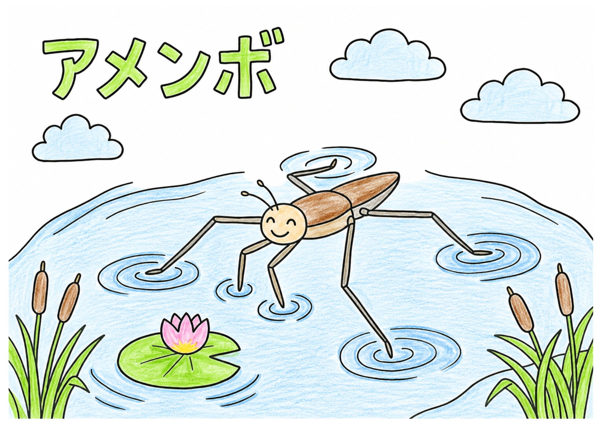 アメンボの塗り絵イラスト