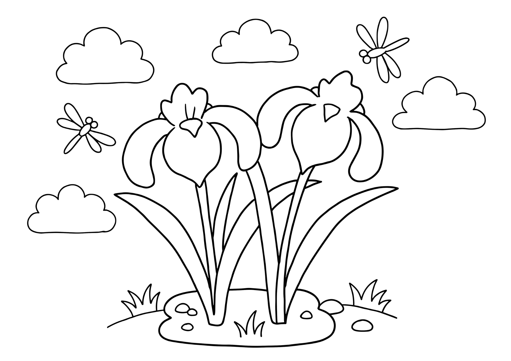 菖蒲（あやめ）の花の塗り絵白黒、子供向け無料印刷