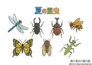 夏の昆虫図鑑の塗り絵イラスト カラー見本（無料・印刷OK）