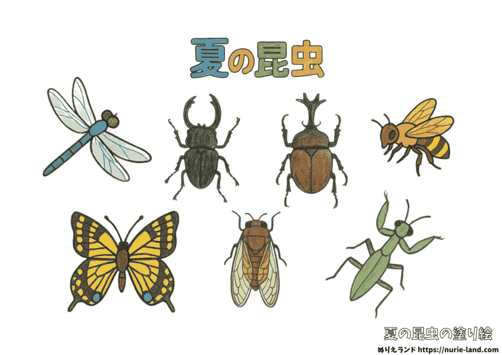 夏の昆虫図鑑ぬりえ｜幼児も楽しい！簡単でちょっとリアル無料塗り絵（見本付き）